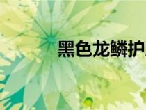 黑色龍鱗護肩（黑色龍鱗胸甲）