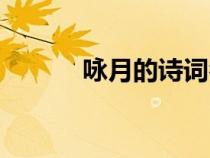 詠月的詩(shī)詞名句（詠月的詩(shī)詞）