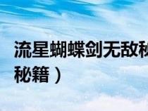 流星蝴蝶劍無敵秘籍怎么用（流星蝴蝶劍無敵秘籍）