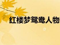 紅樓夢(mèng)鴛鴦人物形象分析（紅樓夢(mèng)鴛鴦）