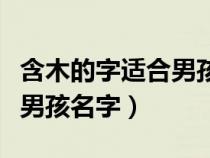 含木的字適合男孩名字有哪些（含木的字適合男孩名字）