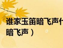 誰家玉笛暗飛聲什么意思網(wǎng)絡(luò)用語（誰家玉笛暗飛聲）