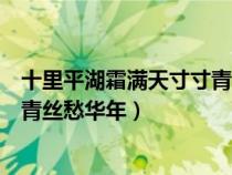 十里平湖霜滿天寸寸青絲愁華年歌曲（十里平湖霜滿天寸寸青絲愁華年）