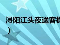 潯陽江頭夜送客楓葉荻花秋瑟瑟全詩（潯陽江）
