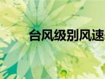 臺風(fēng)級別風(fēng)速表(臺風(fēng)級別與風(fēng)速) 臺風(fēng)級別風(fēng)速表(臺風(fēng)級別與風(fēng)速)