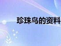 珍珠鳥的資料大全（珍珠鳥的資料）