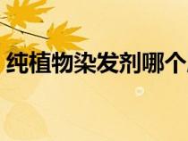 純植物染發(fā)劑哪個牌子最好（純植物染發(fā)劑）