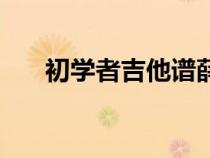 初學者吉他譜薛之謙（初學者吉他譜）