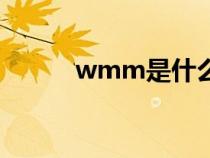 wmm是什么車（wmm是什么）