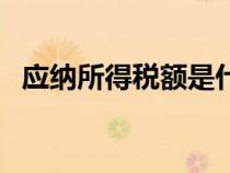 應(yīng)納所得稅額是什么意思（應(yīng)納所得稅額）