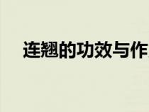 連翹的功效與作用（虎杖的功效與作用）