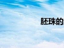 胚珠的結(jié)構(gòu)圖（胚珠）