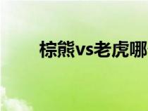 棕熊vs老虎哪個(gè)厲害（棕熊vs老虎）