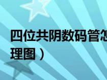 四位共陰數(shù)碼管怎么接線（四位共陰數(shù)碼管原理圖）