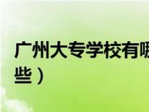 廣州大專學(xué)校有哪些專業(yè)（廣州大專學(xué)校有哪些）