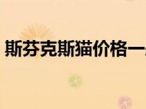 斯芬克斯貓價(jià)格一般多少（斯芬克斯貓價(jià)格）