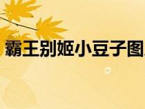霸王別姬小豆子圖片（霸王別姬小豆子劇照）