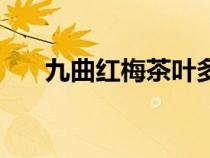 九曲紅梅茶葉多少錢一斤（九曲紅梅）