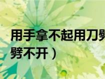 用手拿不起用刀劈不開煮飯（用手拿不起用刀劈不開）