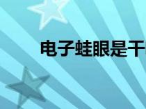 電子蛙眼是干啥的（電子蛙眼圖片）