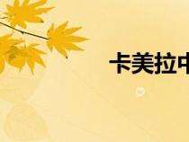卡美拉中國(guó)龜（中國(guó)龜）