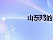 山東雞的品種（雞的品種）