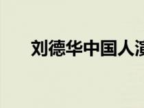 劉德華中國人演唱會（劉德華中國人）