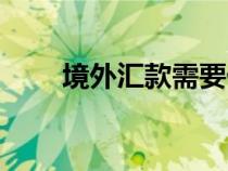 境外匯款需要什么材料（境外匯款）
