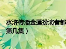 水滸傳潘金蓮扮演者都是哪幾位（新版水滸傳潘金蓮出場在第幾集）