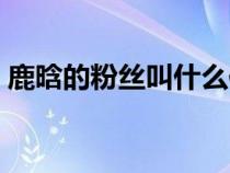 鹿晗的粉絲叫什么作文（鹿晗的粉絲叫什么）
