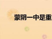 蒙陰一中是重點(diǎn)高中嗎（蒙陰一中）