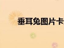 垂耳兔圖片卡通可愛（垂耳兔圖片）