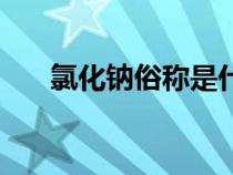 氯化鈉俗稱是什么東西（氯化鈉俗稱）
