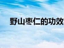 野山棗仁的功效和作用及禁忌（野山棗）