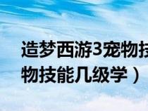 造夢(mèng)西游3寵物技能學(xué)什么好(造夢(mèng)西游3寵物技能幾級(jí)學(xué)) 造夢(mèng)西游3寵物技能學(xué)什么好(造夢(mèng)西游3寵物技能幾級(jí)學(xué))