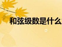 和弦級(jí)數(shù)是什么意思(和弦級(jí)數(shù)是什么) 和弦級(jí)數(shù)是什么意思(和弦級(jí)數(shù)是什么)