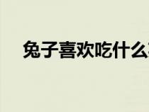 兔子喜歡吃什么英語（兔子喜歡吃什么）
