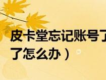 皮卡堂忘記賬號了怎么辦（皮卡堂交易密碼忘了怎么辦）