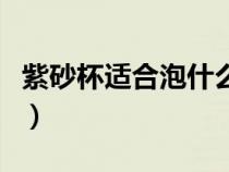 紫砂杯適合泡什么茶喝（紫砂杯適合泡什么茶）
