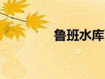魯班水庫面積（魯班水庫）