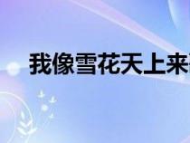 我像雪花天上來歌詞（我像雪花天上來）