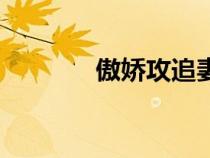 傲嬌攻追妻火葬場(chǎng)（傲嬌攻）