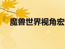 魔獸世界視角宏大全（魔獸世界視角宏）