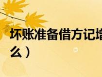 壞賬準備借方記增加嗎（壞賬準備借方登記什么）