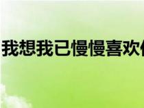 我想我已慢慢喜歡你!（我想我已慢慢喜歡你）