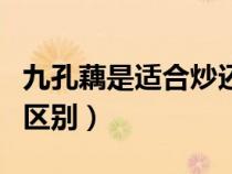 九孔藕是適合炒還是燉湯（七孔藕和九孔藕的區(qū)別）