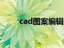 cad圖案編輯器（acd圖片編輯器）