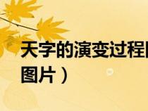 天字的演變過程圖片 圖畫（天字的演變過程圖片）