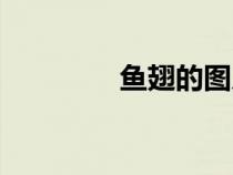 魚(yú)翅的圖片與價(jià)格(魚(yú)翅) 魚(yú)翅的圖片與價(jià)格(魚(yú)翅)