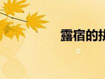 露宿的拼音（寨的拼音）